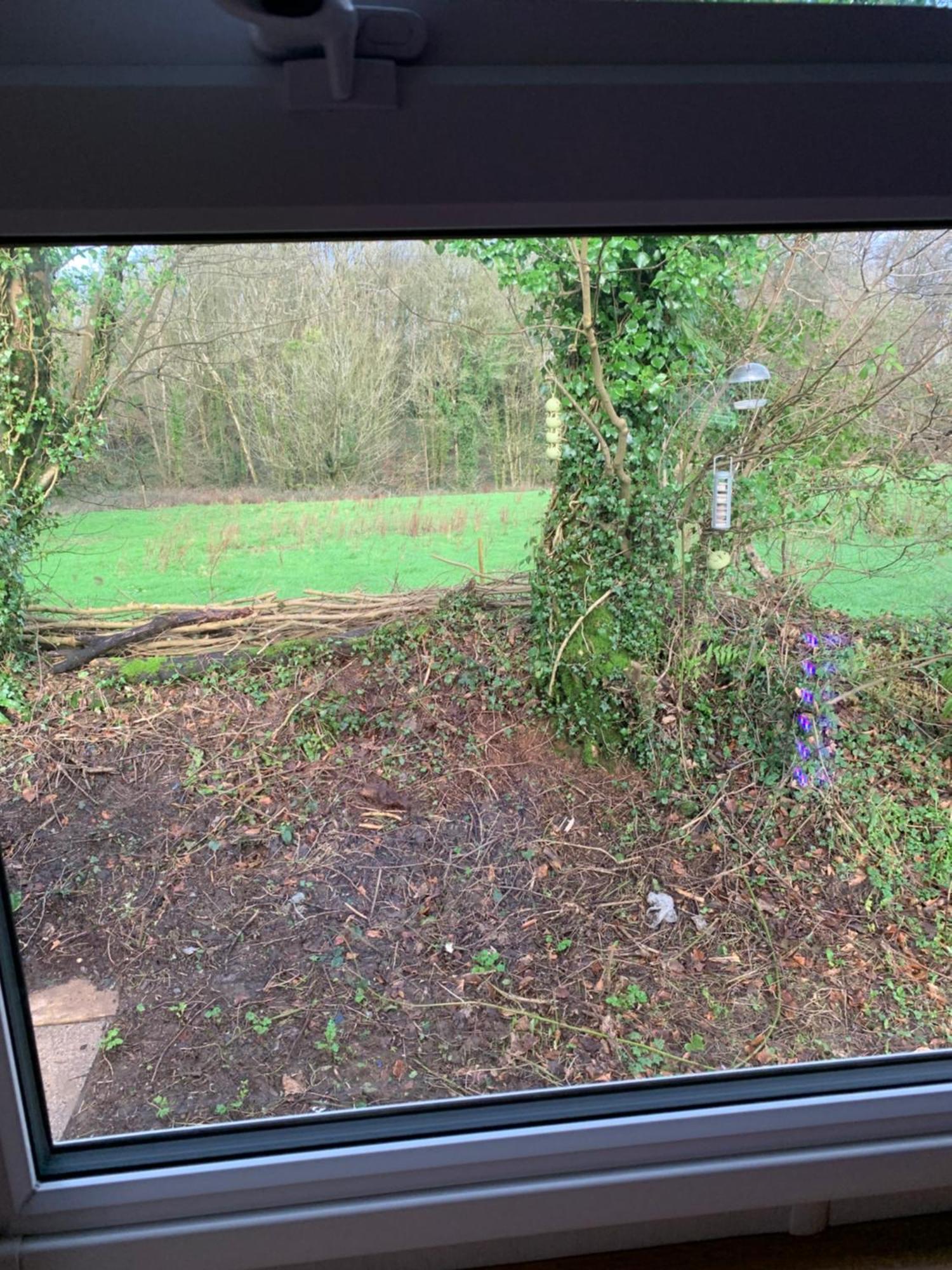 4 Devon Country, Bideford Bay Holiday Park Bucks Mills Extérieur photo